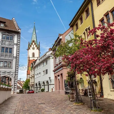 Apartament Willhelm - Hauff